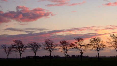 Avondrood