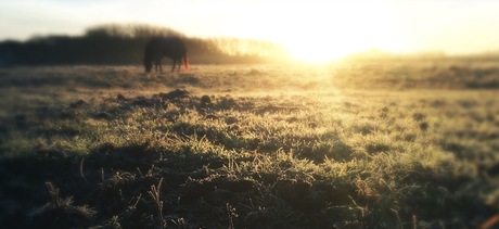 HipstamaticPhoto-504605839.455236