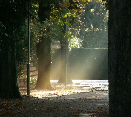 Zonnestralen