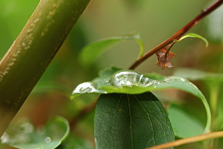 Rainy day