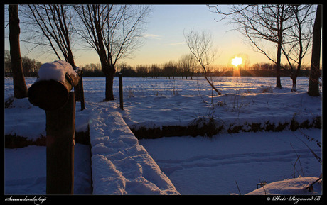 Sneeuwlandschap