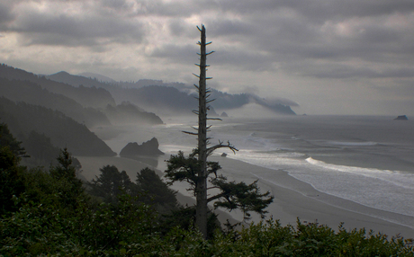 22 03 2003-10-02 USA Cannonbeach Oregon 124° WL 45,8° NB (-2EV).jpg