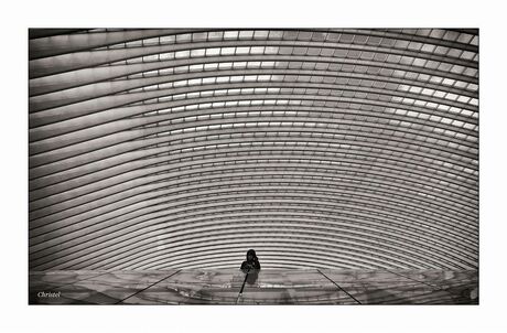 Guillemins