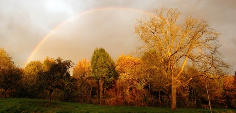 Herfst in Valkenburg ...