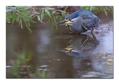 Spiegeltje