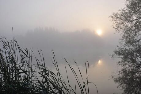 ochtend mist