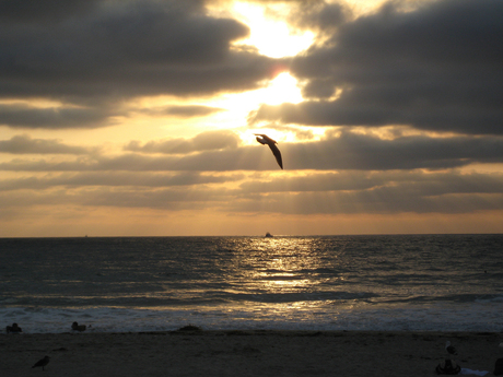 Pacific sunset