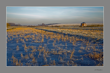 Water Polder