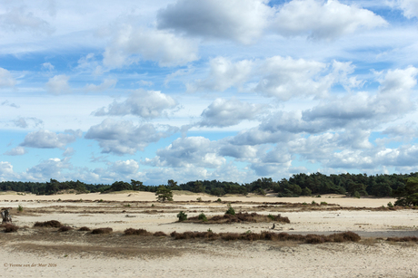 Hulshorsterzand in kleur...