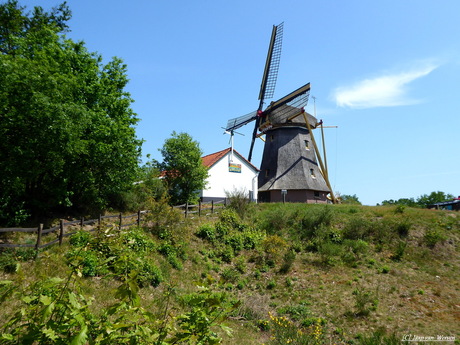 Molen