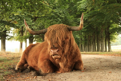 Natuur vriend