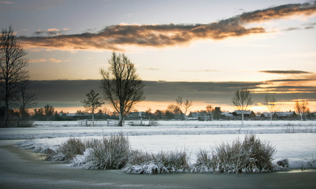 Witte ochtend