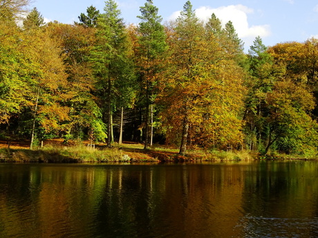 Zomerse dag in november