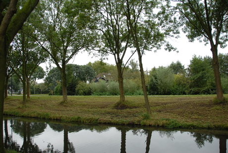 in een vogelvlucht genomen