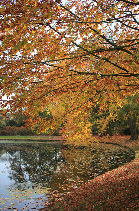 Herfst Landgoed Clingendael