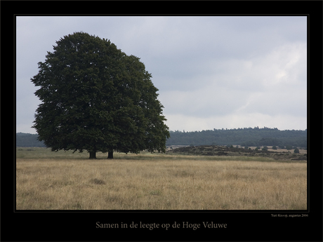 Samen op de Veluwe