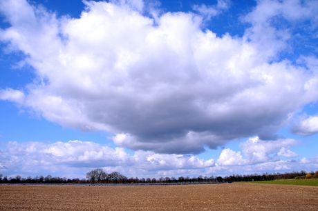Cloudy landschap