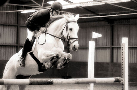 Jumping Lisse