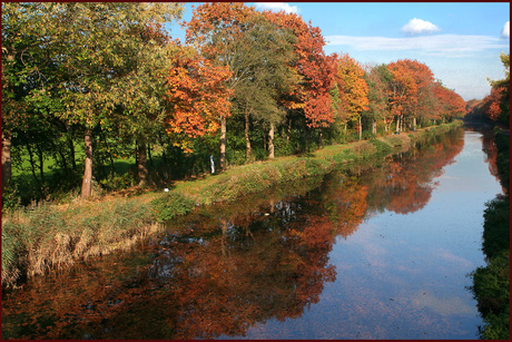 Herfstkleuren