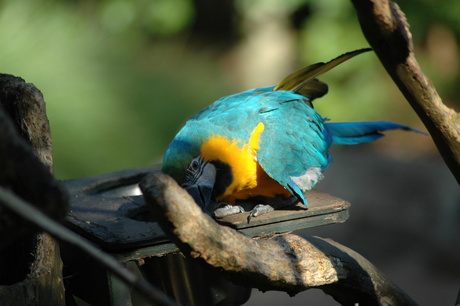 Nee ik wil nie op de foto