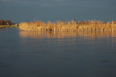IJs in Wormer- en Jisperveld
