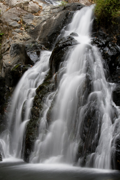 Welcome to the Jungle 6: Waterfall