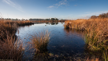 Morgenstond op de Kampina 2