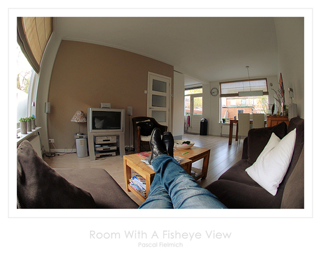 Room With A Fisheye View