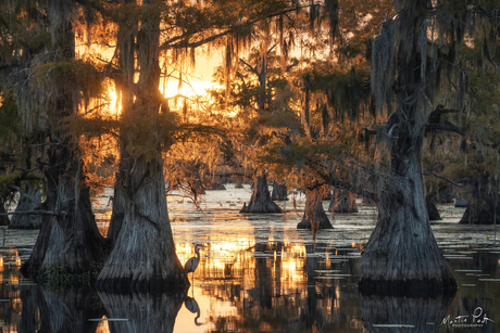 Sunset in the swamps