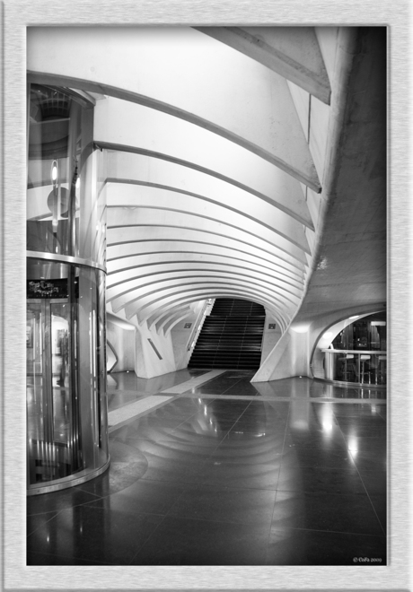 Luik Guillemins