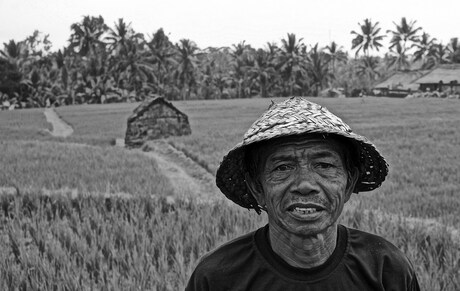 Bali farmer.