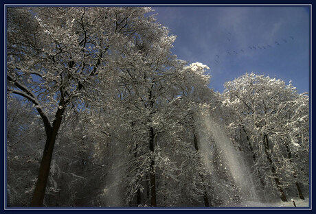 Winter weer