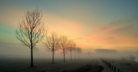 Vroege ochtend.