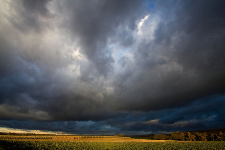 Limburgs landschap