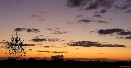 Good morning ......Holland