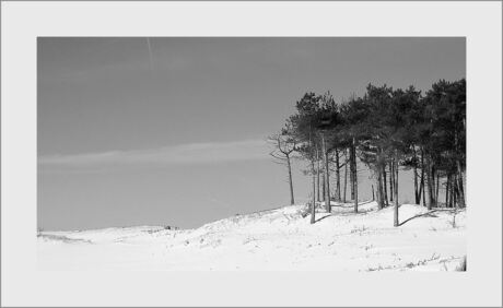 In de duinen