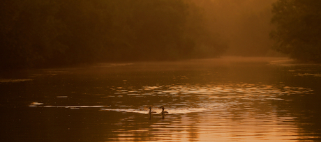 Biesbosch sunrise