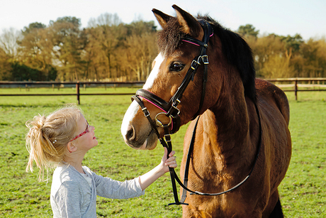 Paardenliefde