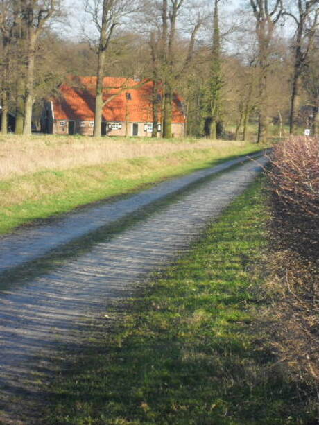 Landschap