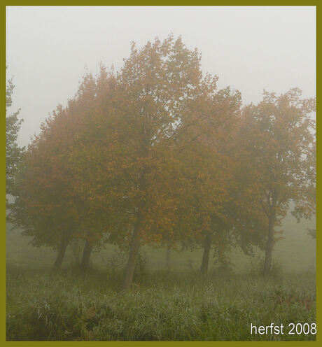 herfst 2008