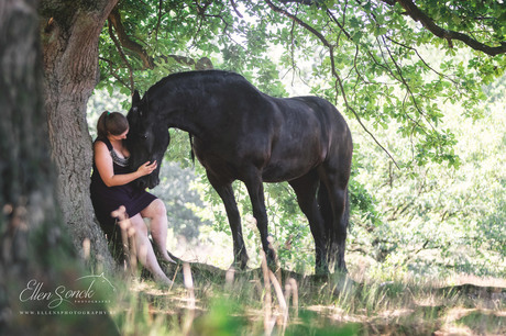 Under the tree