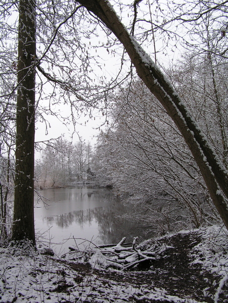 Winters doorkijkje