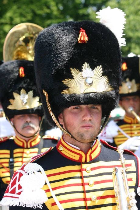 Veteranendag 2010