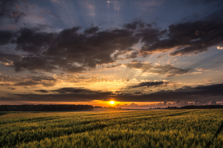 Leuvense zonsondergang