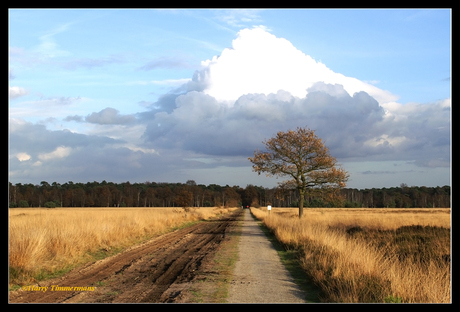 De Kampina