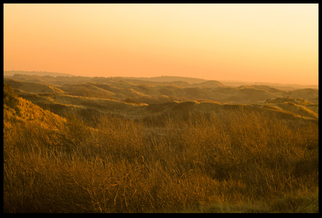 IJmuiden Dunes