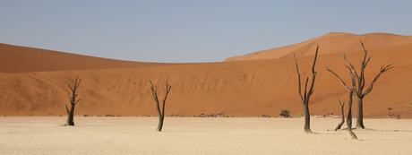 Namibia DeathVlei