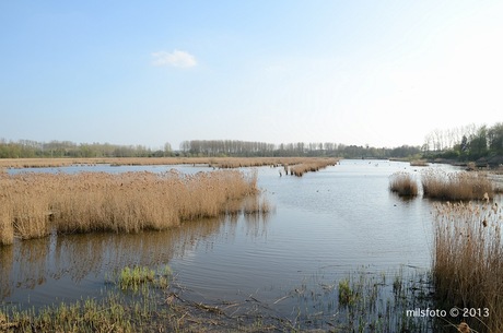 Het Vinne gedeeltelijke impressie - late namiddag