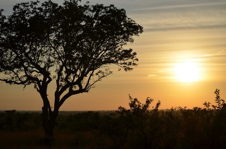 Zuid-Afrika