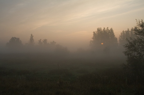 Vroege uurtjes in de Biesbosch